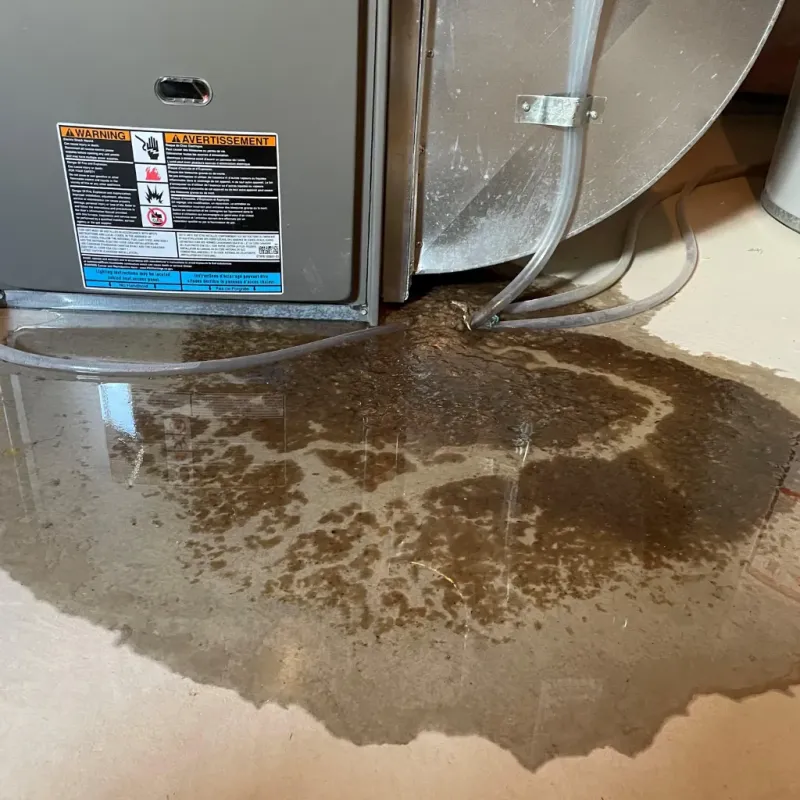Appliance Leak Cleanup in Mount Carmel, IL
