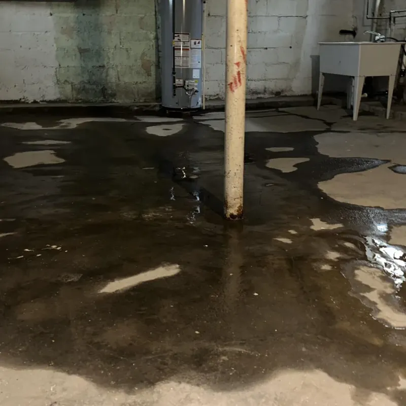 Emergency Water Extraction And Removal in Mount Carmel, IL